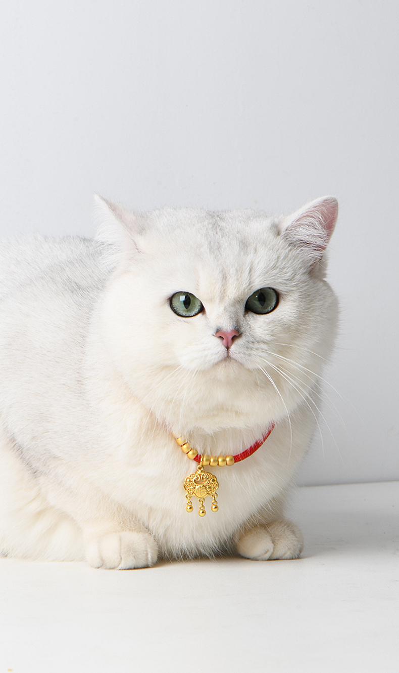 FUHUO High-value cat and dog accessories bell festive adjustable collar cat bow tie young cat pet supplies-Make In China