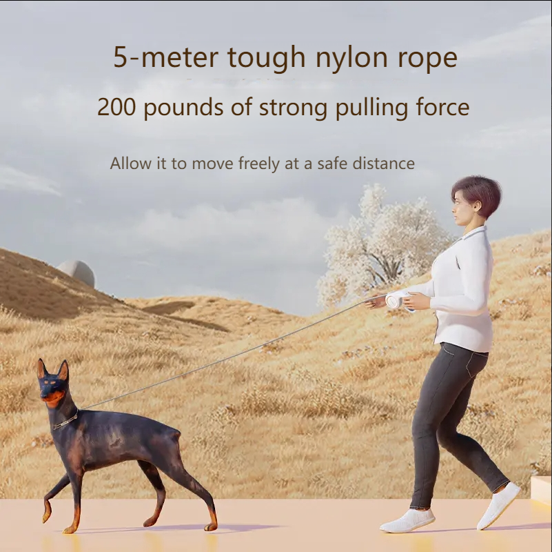 automatic retractable traction rope small and medium-sized dogs-Make In China large dogs out walking dog rope dog chain