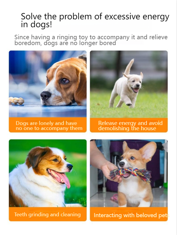 FUHUO Dog toys bite-resistant and tooth-healthy Teddy Corgi sound self-entertainment and boredom relief dog training outdoor washable pet toys-Make In China