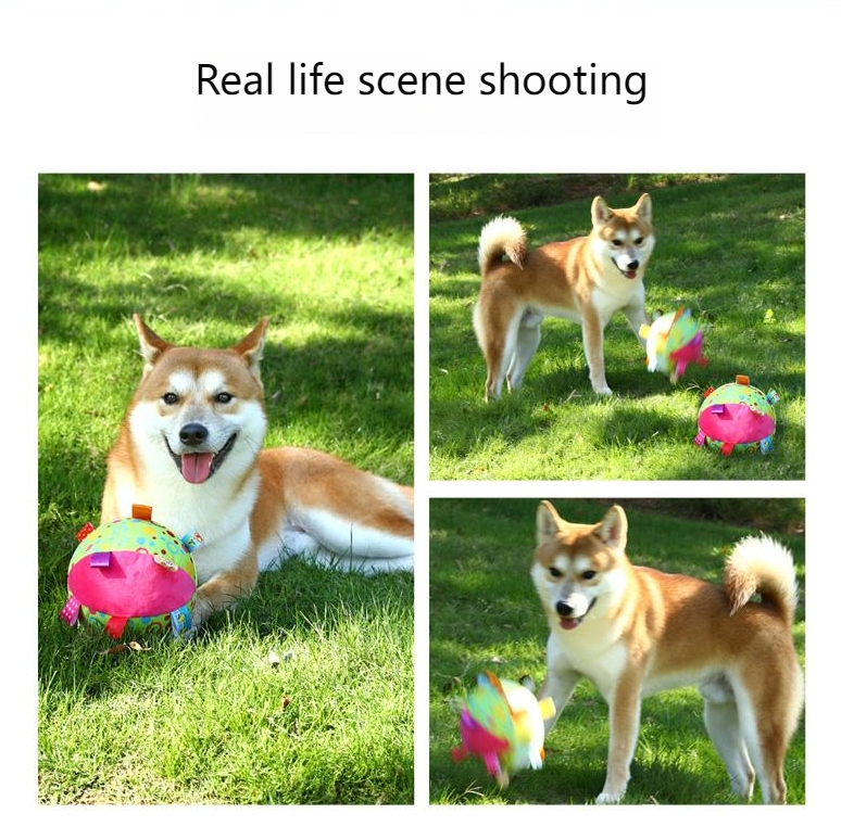 FUHUO Dog toys bite-resistant and tooth-healthy Teddy Corgi sound self-entertainment and boredom relief dog training outdoor washable pet toys-Make In China